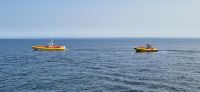 199 Whale Watching