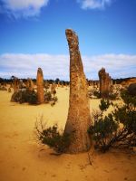 Pinnacles Nambung NP