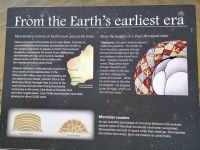 Lake Theti, Stomatolithen