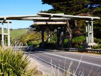 Beginn der Great Ocean Road 