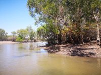 Yellow Water River