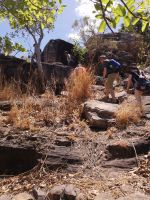 Exkursion ins Arnhelmland