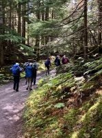 Die Wandergruppe
