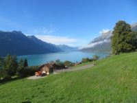 011 Fahrt mit der Brienzer Rothorn Bahn - Blick über den Brienzersee