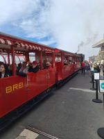 079 Auf dem  Brienzer Rothorn