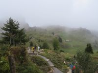 160 Ausflug zur Schynigen Platte - Alpengarten