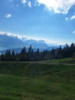 292 Talfahrt von der Rigi -