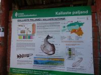 Kallaste: am Peipussee