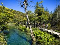 Über solche Holzstege läuft man im Nationalpark Plitvicer Seen