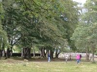 Clava Cairns