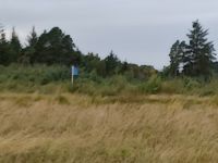 Battlefield der Schotten markiert mit blauer Fahne