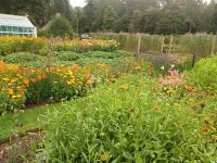 Gartenanlage am Schloss Balmoral