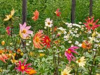 Gartenanlage am Schloss