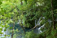 113 NP Plitvicer Seen