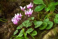 115 NP Plitvicer Seen