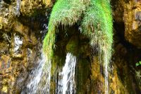 126 NP Plitvicer Seen