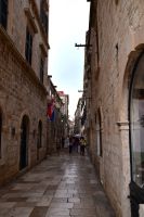 249 Dubrovnik, Od Puca