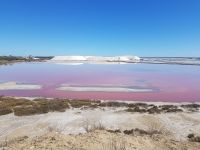 Saline von Aigues-Mortes