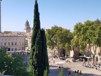 Avignon