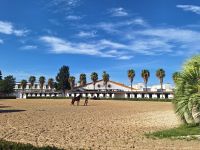 Jerez de la Frontera: Königliche Hofreitschule