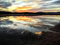 Morgenstimmung in Sibenik