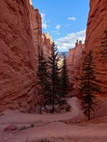 2. Bryce Canyon National Park (4)