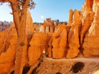 2. Bryce Canyon National Park (5)