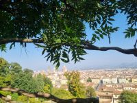 Florenz - Bardini-Garten