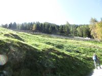 Steinbockzentrum am Schrofen