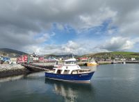 035-Dingle