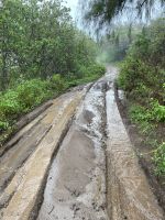 Bora Bora - Inselrundfahrt mit den Jeeps