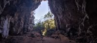 Cova des Coloms