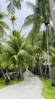 Landgang auf Rangiroa, leider wieder bei Regen