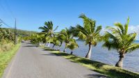 Inselrundfahrt auf Tahaa