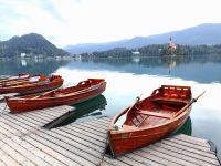 Wir umrunden den Bleder See