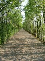 Park Eremitage
