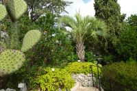 Tag 3 04.10.2023 Èze village, Kakteengarten