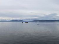 10. Reisetag – Ausflug nach Tadoussac – Walbeobachtung auf dem Sankt-Lorenz-Strom