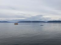 10. Reisetag – Ausflug nach Tadoussac – Walbeobachtung auf dem Sankt-Lorenz-Strom