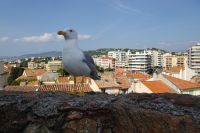 Tag 4 05.10.2023 Cannes