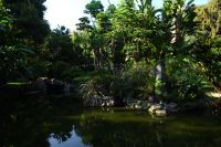 Tag 5 06.10.2023  Monte Carlo