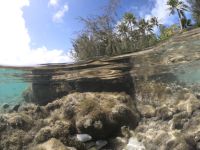 Lagunentour Bora Bora - Mittagspause auf einem Motu