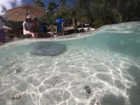 Lagunentour Bora Bora - Mittagspause auf einem Motu mit Rochen