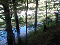 Biogradsko Bergsee