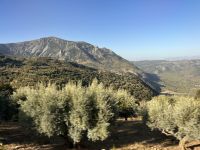 ...auf dem Weg nach Kera (2)