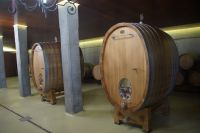 Ovale Fässer in Granbazán. Durch die ovale Form SOLL der Wein in größere Bewegung kommen