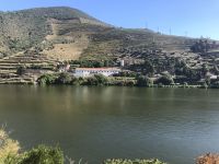 Weingut am Douro