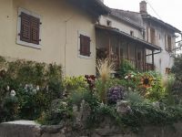 Kräuter und Blumen, die Bienen summen