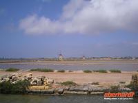 Salzfelder an der Westküste