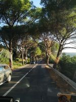 Unsere letzte Fahrt durch die Allee